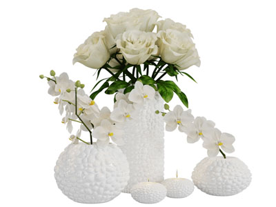 白色陶瓷花瓶花卉