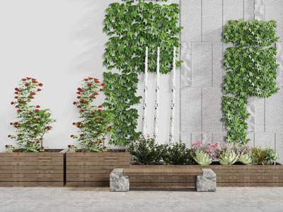 阳台上的藤蔓植物园艺小品