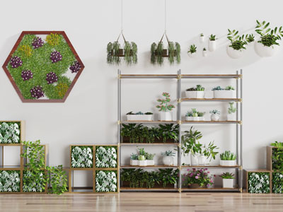 放在花架上的盆栽植物