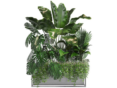 长方形水泥花盆盆栽植物3d模型 长方形水泥花盆盆栽植物