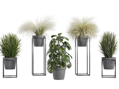 金属花架上的盆栽植物3d模型 金属花架上的盆栽植物