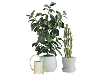 陶艺花盆盆栽植物洒水壶3d模型 陶艺花盆盆栽植物洒水壶