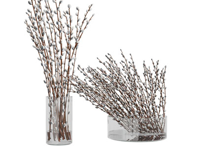 玻璃花瓶花卉3d模型 玻璃花瓶花卉