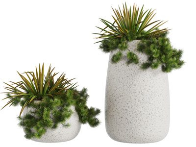 装饰花纹斑点花盆的盆栽植物3d模型 装饰花纹斑点花盆的盆栽植物