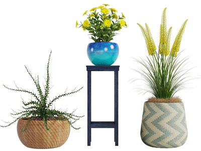 藤编花盆盆栽植物3d模型 藤编花盆盆栽植物