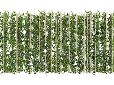实木栅格木上的藤蔓植物3d模型 实木栅格木上的藤蔓植物