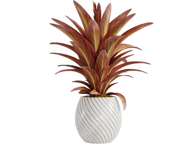 白色陶瓷花盆盆栽植物3d模型 白色陶瓷花盆盆栽植物