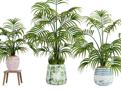 现代带有花纹的花盆盆栽植物3d模型 现代带有花纹的花盆盆栽植物