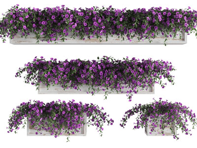 实木花盆的盆栽花卉植物3d模型 实木花盆的盆栽花卉植物