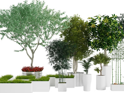 白色花盆盆栽植物3d模型 白色花盆盆栽植物