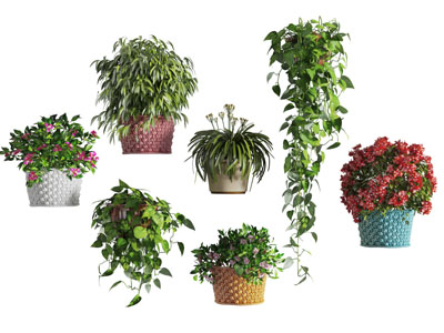 现代藤编花盆盆栽花卉植物3d模型 现代藤编花盆盆栽花卉植物