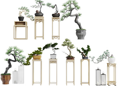 中式花架松树盆景盆栽3d模型 中式花架松树盆景盆栽