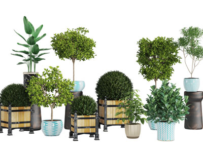 工业风户外实木花盆盆栽植物3d模型 工业风户外实木花盆盆栽植物