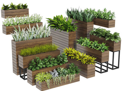 现代实木长方形阳台盆栽植物3d模型 现代实木长方形阳台盆栽植物