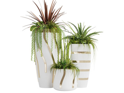 陶瓷花盆盆栽植物3d模型 陶瓷花盆盆栽植物