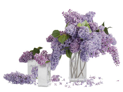 玻璃方形花瓶花卉3d模型 玻璃方形花瓶花卉