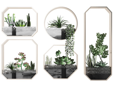 现代多边形多肉盆栽植物3d模型 现代多边形多肉盆栽植物