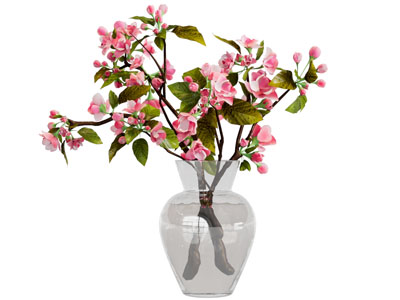 玻璃花瓶花卉3d模型 玻璃花瓶花卉