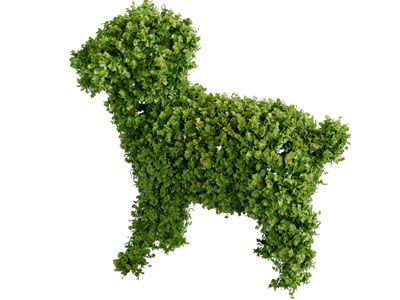 卡通造型景观灌木丛3d模型 卡通造型景观灌木丛