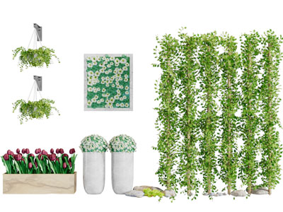 现代盆栽花植藤蔓植物3d模型 现代盆栽花植藤蔓植物