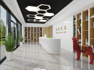 现代体育武术馆