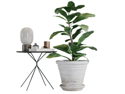 现代圆形茶几土陶盆栽植物3d模型 现代圆形茶几土陶盆栽植物