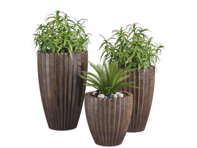 木质花盆盆栽植物3d模型 木质花盆盆栽植物