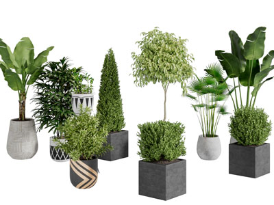 现代方形圆形花盆盆栽植物3d模型 现代方形圆形花盆盆栽植物