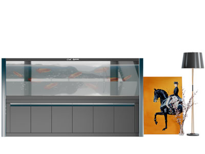 现代带收纳柜的鱼缸