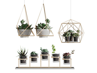 现代轻奢装饰多肉盆栽植物3d模型 现代轻奢装饰多肉盆栽植物