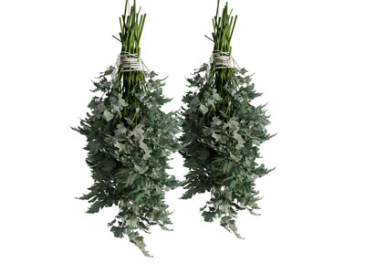 两把新鲜的艾叶艾草3d模型 两把新鲜的艾叶艾草