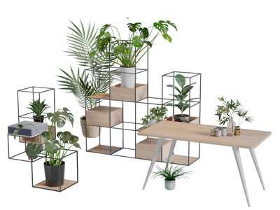 放在金属花架上的绿色盆栽植物3d模型 放在金属花架上的绿色盆栽植物