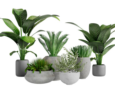 现代水泥花盆盆景盆栽植物3d模型 现代水泥花盆盆景盆栽植物