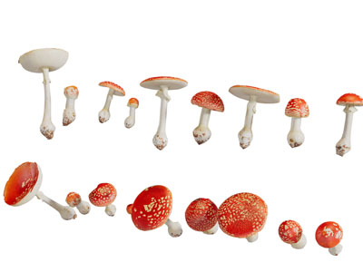 色彩艳丽的蘑菇3d模型 色彩艳丽的蘑菇