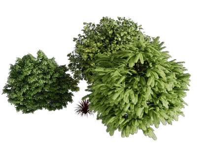 景观植物灌木丛3d模型 景观植物灌木丛