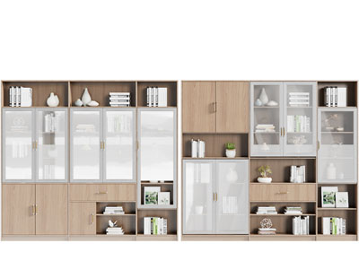 现代玻璃柜门的实木装饰书柜