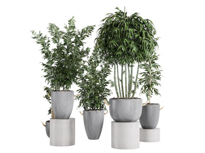 现代水泥花盆盆栽植物3d模型 现代水泥花盆盆栽植物