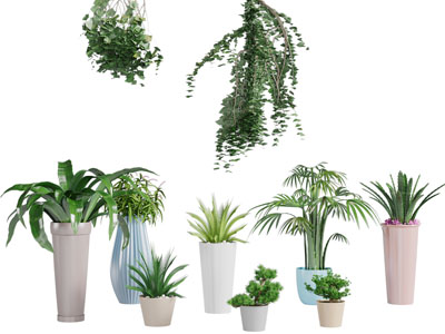 陶瓷花盆盆栽植物3d模型 陶瓷花盆盆栽植物