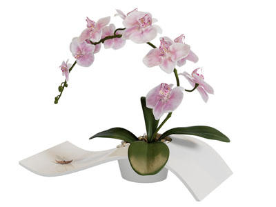 新中式创意花盆蝴蝶兰盆栽植物3d模型 新中式创意花盆蝴蝶兰盆栽植物