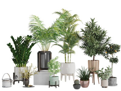 现代陶瓷花盆盆栽植物3d模型 现代陶瓷花盆盆栽植物