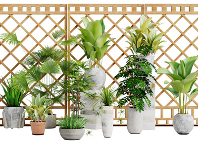 新中式水泥花盆大叶植物盆景盆栽3d模型 新中式水泥花盆大叶植物盆景盆栽