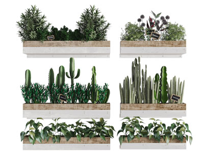 现代长方形植物盆栽3d模型 现代长方形植物盆栽