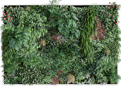 现代方形植物墙3d模型 现代方形植物墙