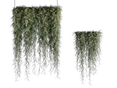 现代吊兰绿植盆栽植物3d模型 现代吊兰绿植盆栽植物