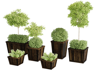 现代户外方形实木盆景盆栽3d模型 现代户外方形实木盆景盆栽