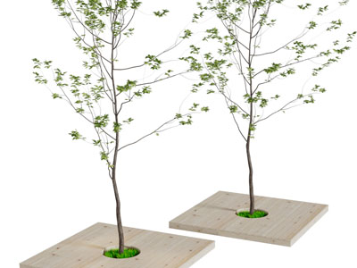 长着绿色树叶的道旁树木3d模型 长着绿色树叶的道旁树木