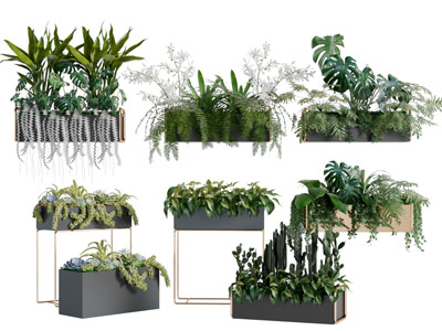 现代长方形花盆盆栽植物3d模型 现代长方形花盆盆栽植物