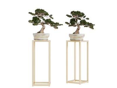 新中式花架盆景盆栽