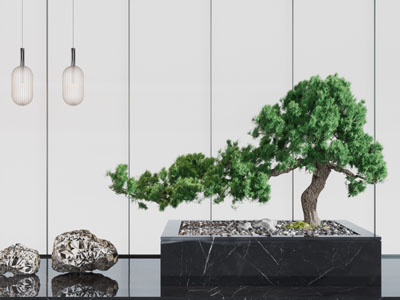 新中式松树盆景盆栽