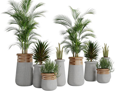 现代水泥拼接装饰花盆盆栽植物